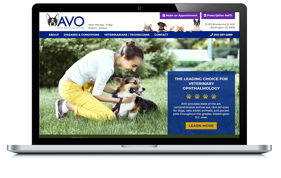 Example of Armour Veterinary Ophthalmology