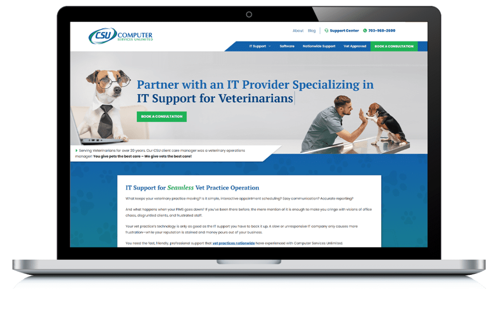 Example of Computer Services Unlimited – Vet IT Services