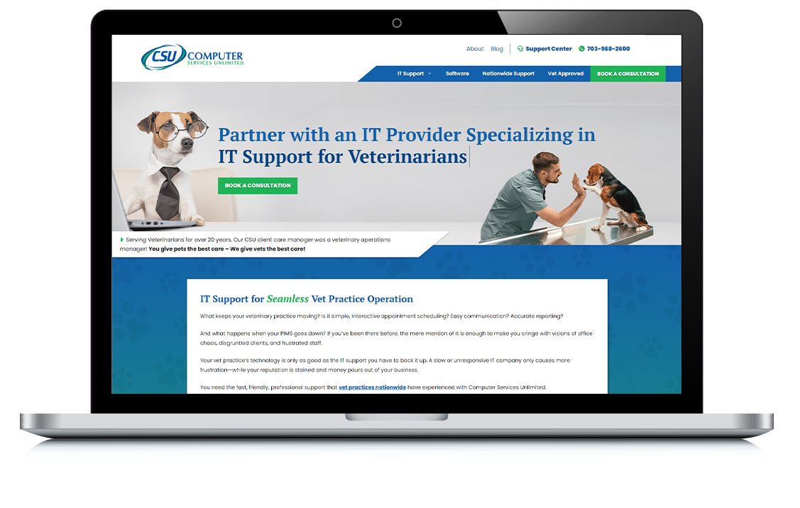 Example of Computer Services Unlimited – Vet IT Services