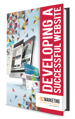 developing a successful website book cover