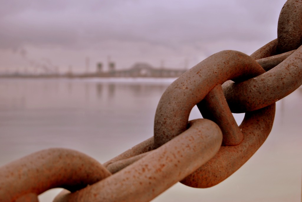 link building